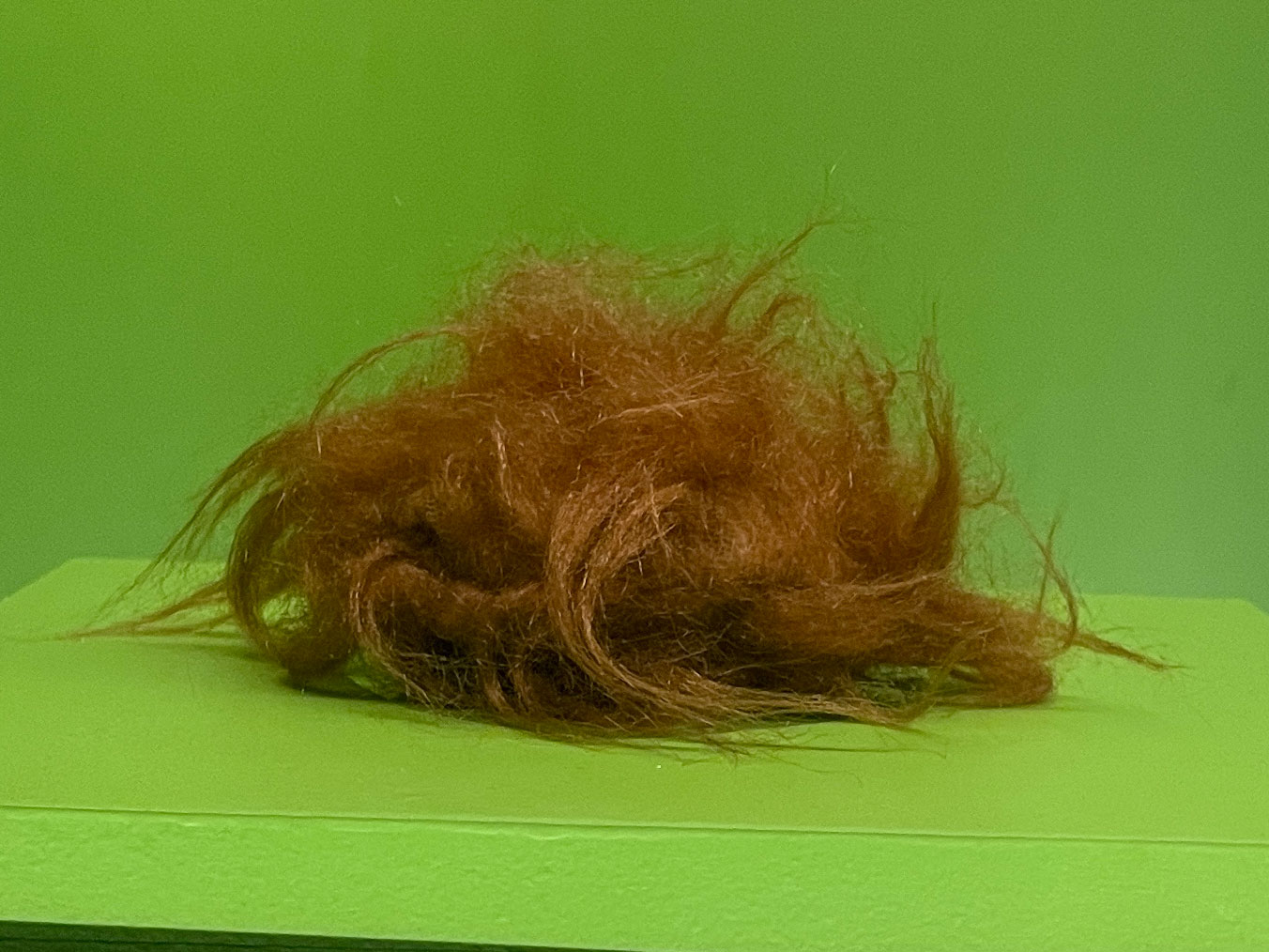 Tribble prop, Star Trek 